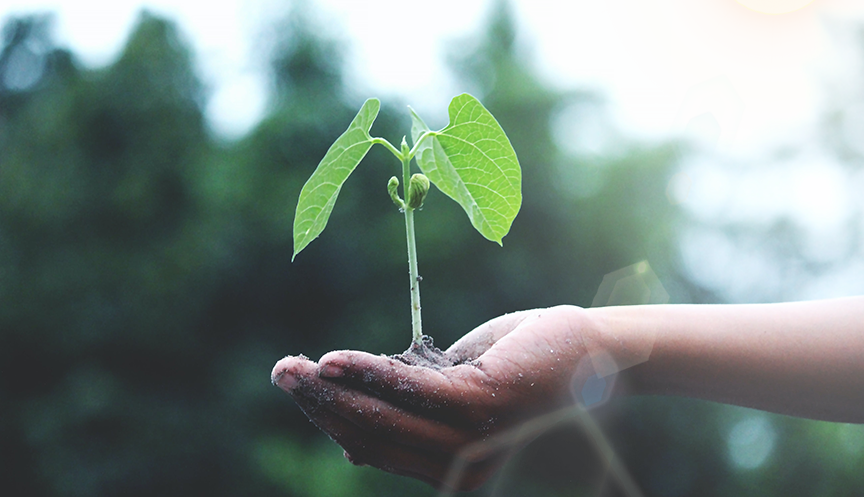 2003网站太阳集团-首页(迎接您!)